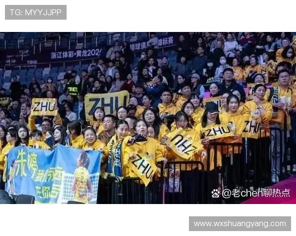 北京排球队状态引发热议球迷对球队表现的分歧与期待